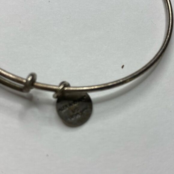 Alex and Ani Endless Knot Bracelet - Picture 4 of 6